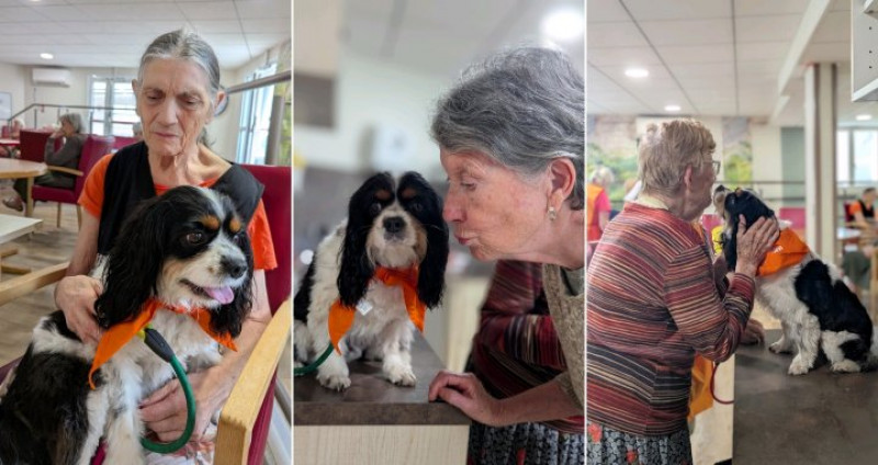 les " chiens visiteurs" du 1er Octobre