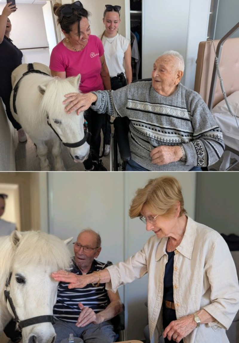 Le poney Chouchou monte dans les ascenseurs
