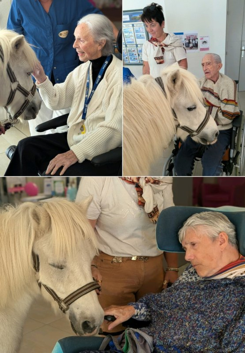 Equestri'elles à la Deymarde en octobre