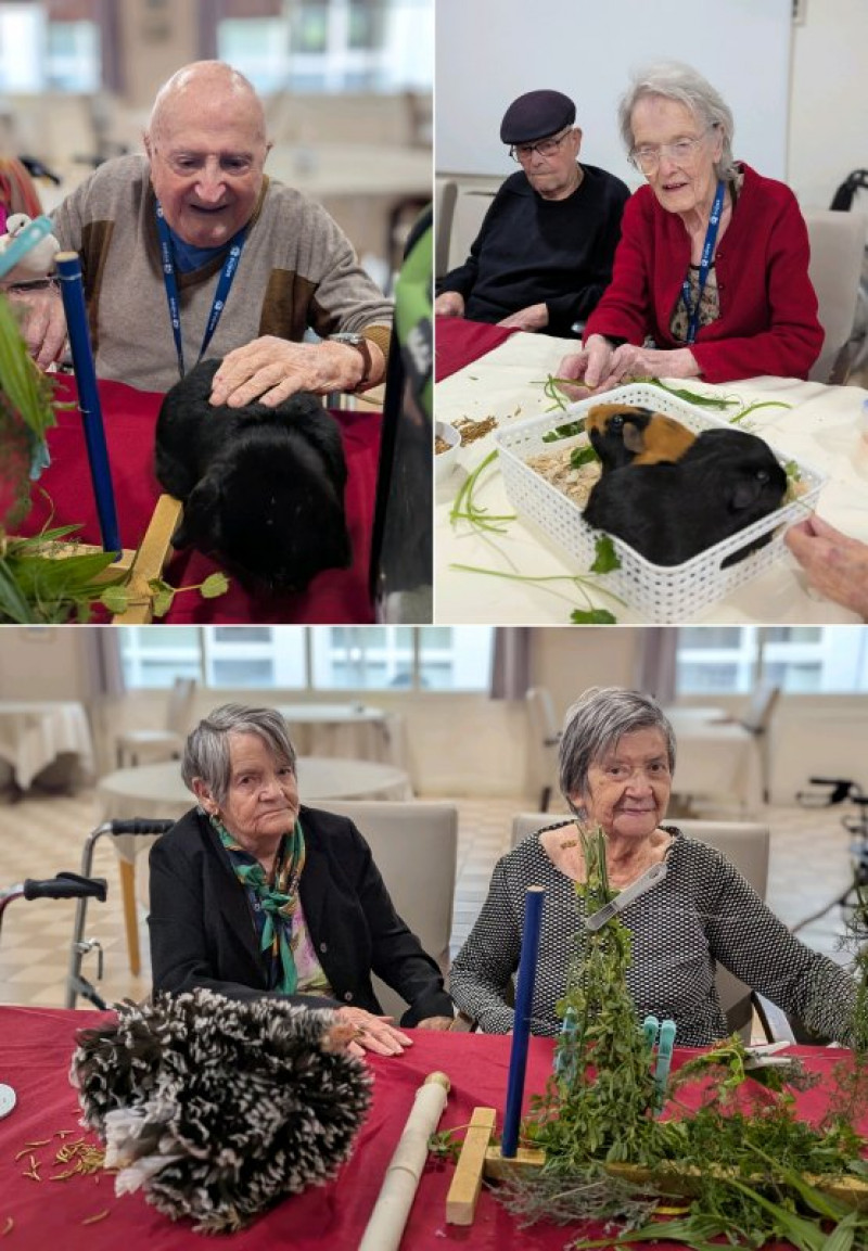 La médiation animale avec Christelle