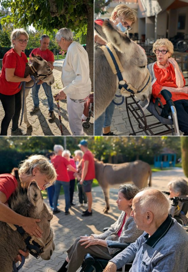 actualité EHPAD SEDNA