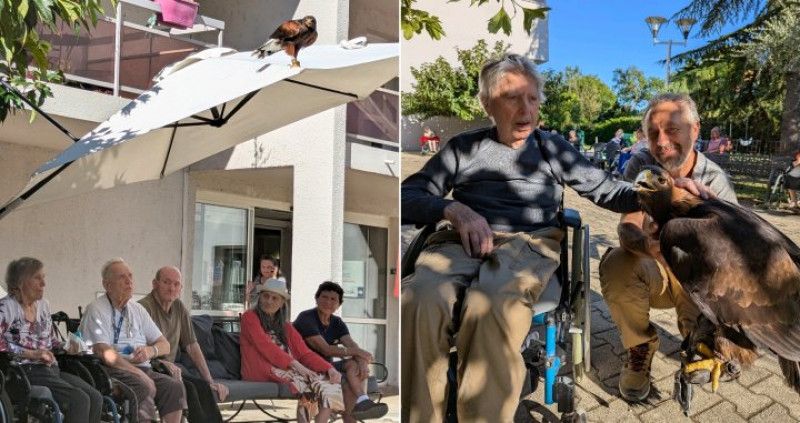 5 septembre : un Fauconnier à La Deymarde