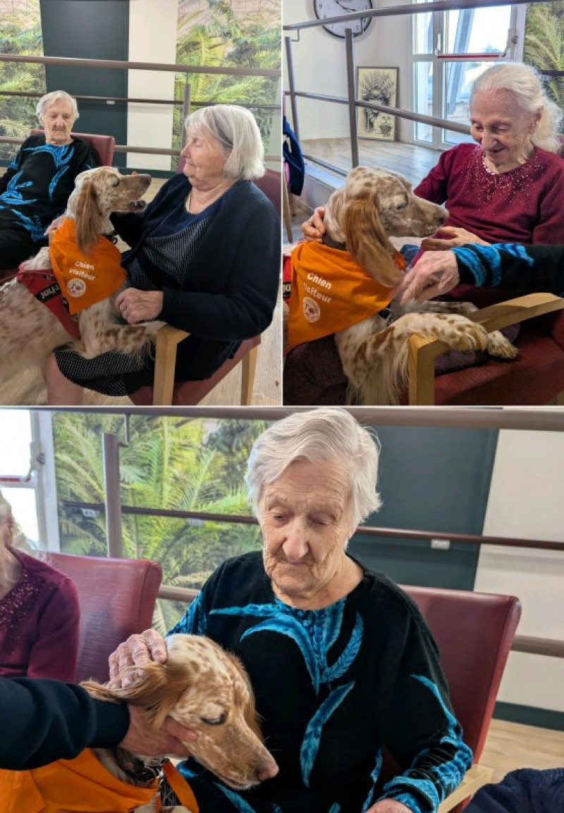 actualité EHPAD SEDNA