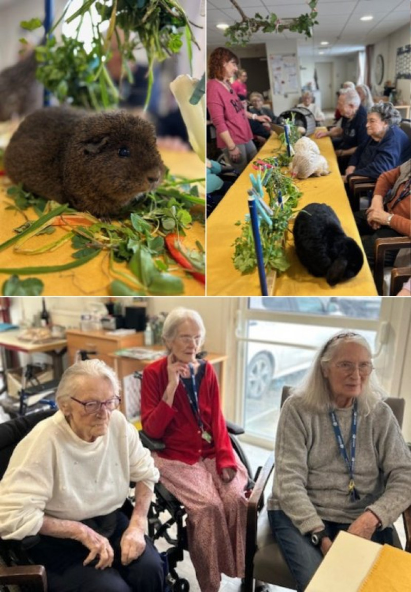 résidence médicalisée SEDNA France