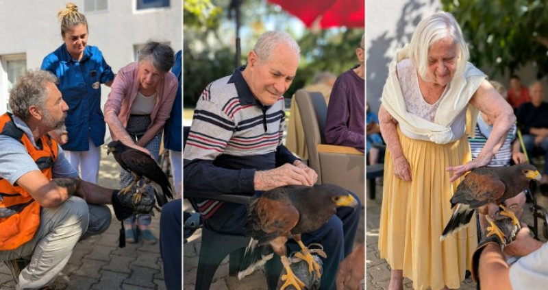 Le 22 septembre nous recevions les rapaces