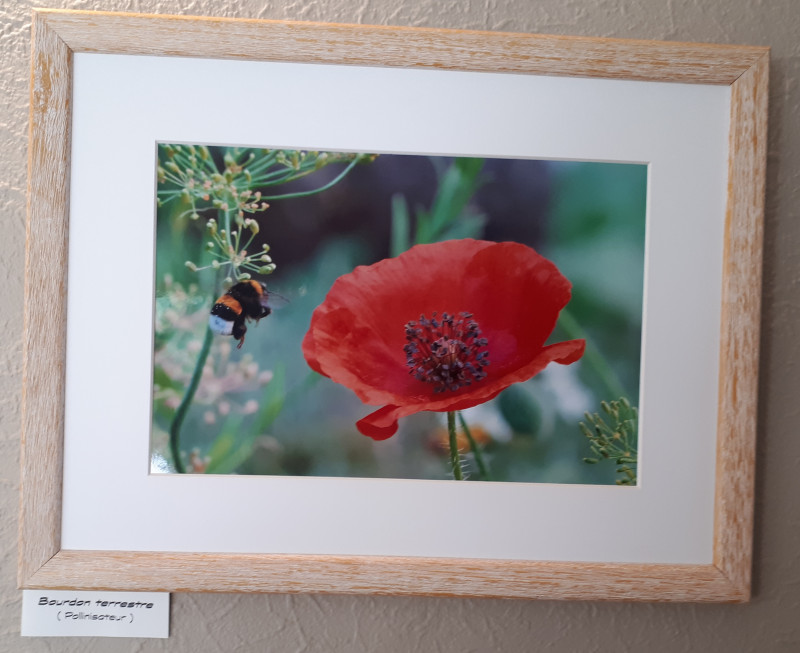 Exposition de Photo Amateur