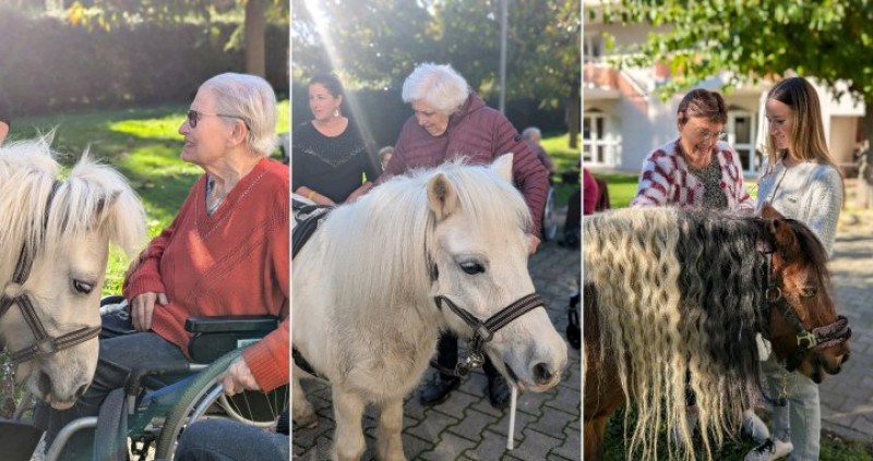 actualité EHPAD SEDNA