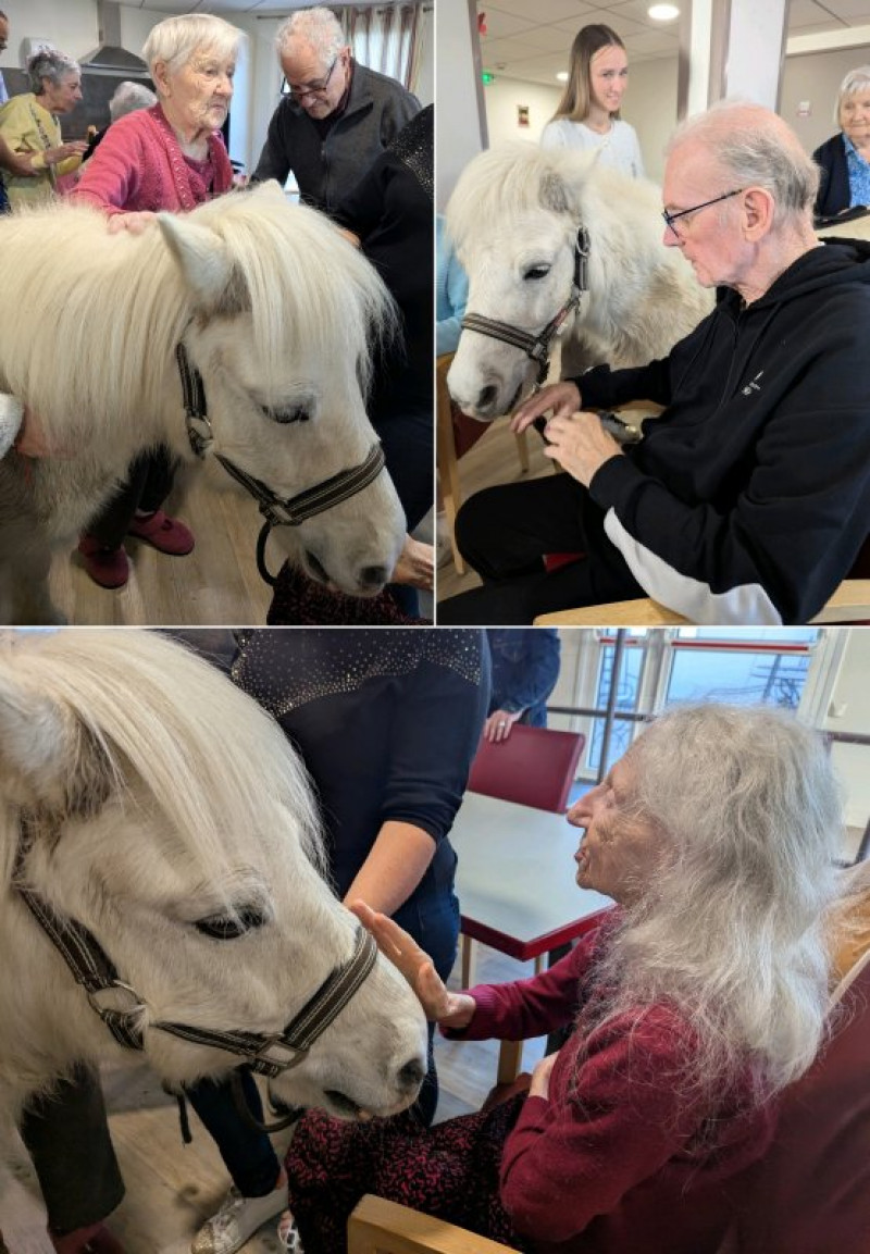 Des poneys dans les chambres???