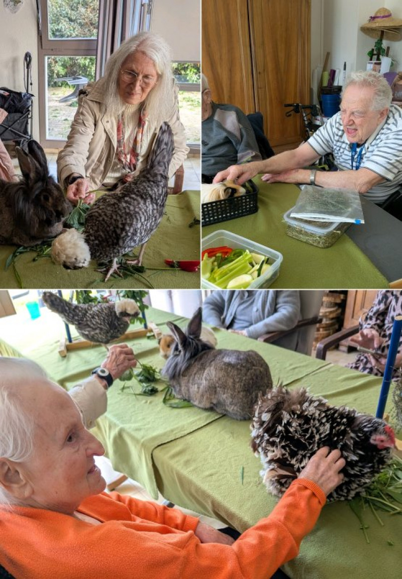 actualité EHPAD SEDNA