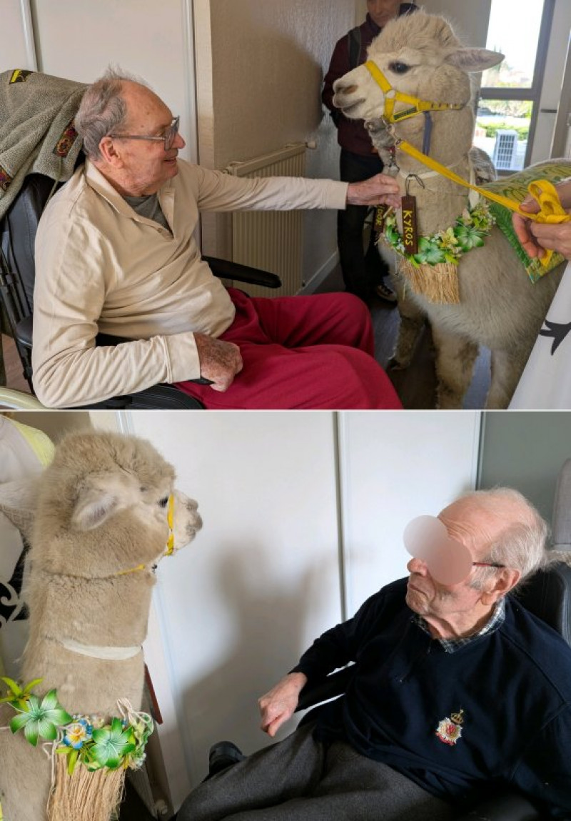 actualité EHPAD SEDNA