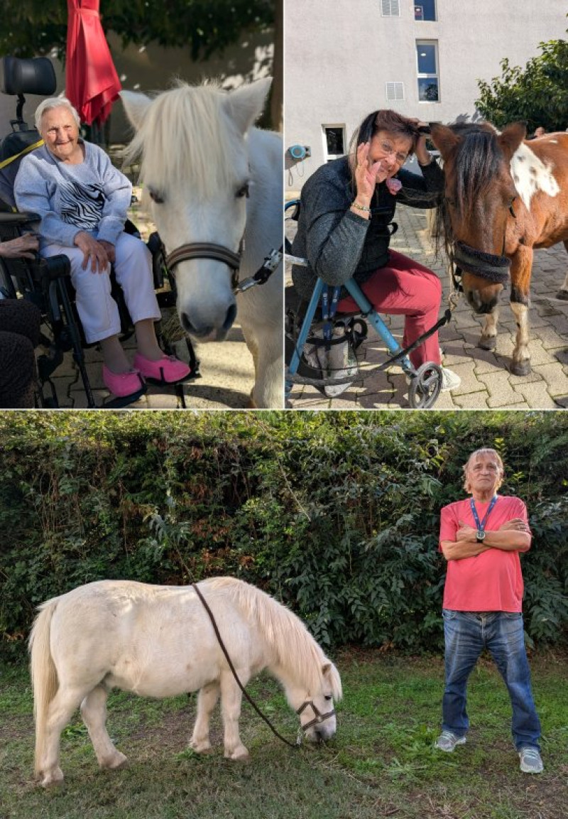 Equestri'elles à la Deymarde en octobre