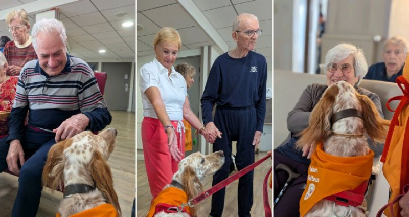 Trop mignons ces "chiens visiteurs"