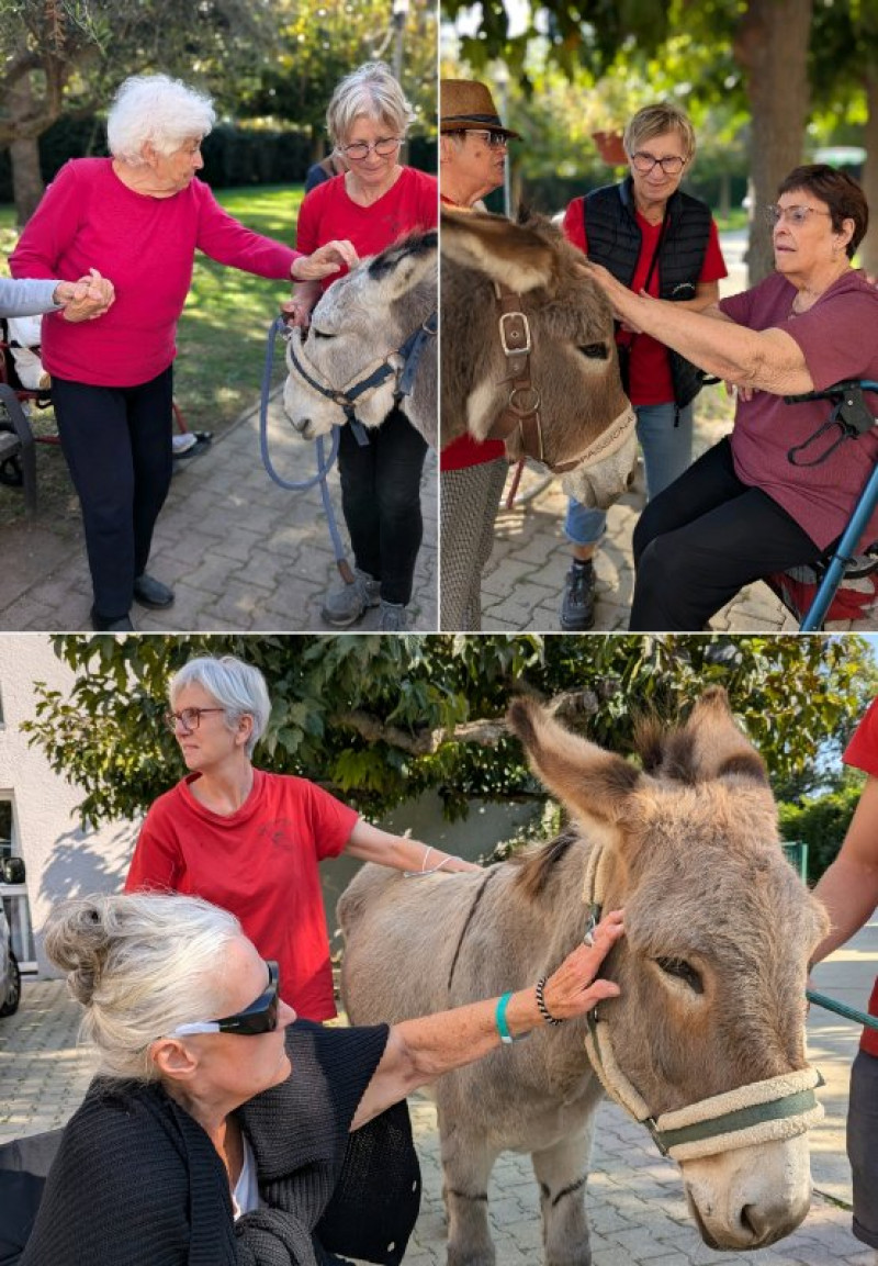 Lap'anerie est à la Deymarde