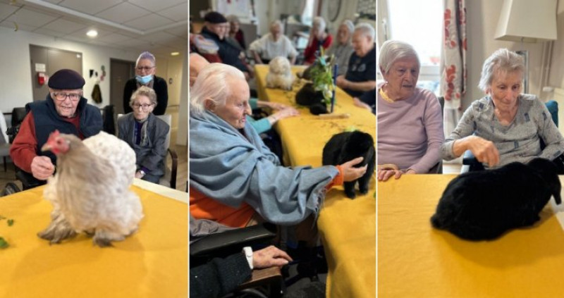 vendredi 13 février : médiation animale