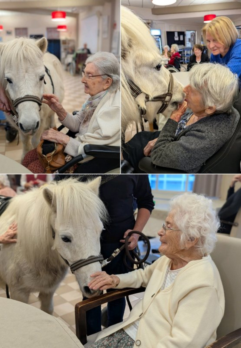 Equestri'elle's au détour d'un couloir et au restaurant