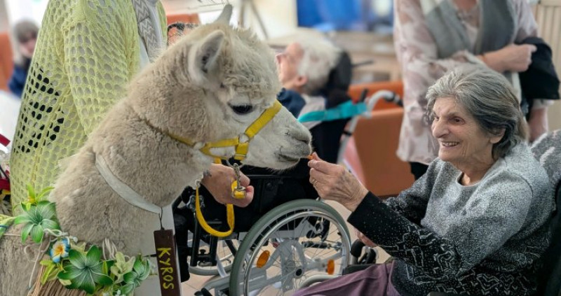 actualité EHPAD SEDNA