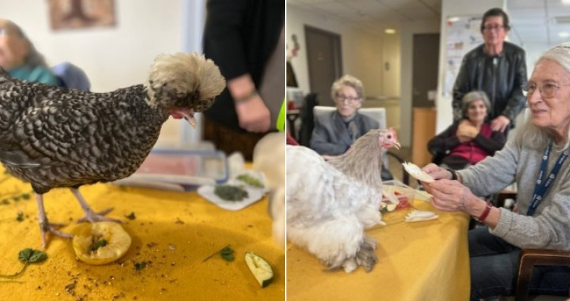 médiation animale de février avec Christelle
