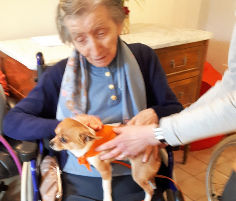 Chiens visiteurs 4/04/2019