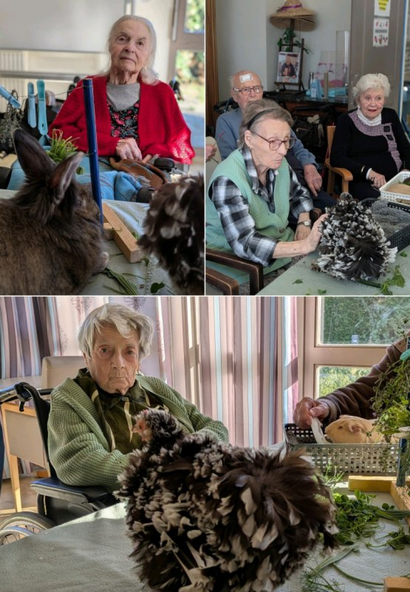 actualité EHPAD SEDNA