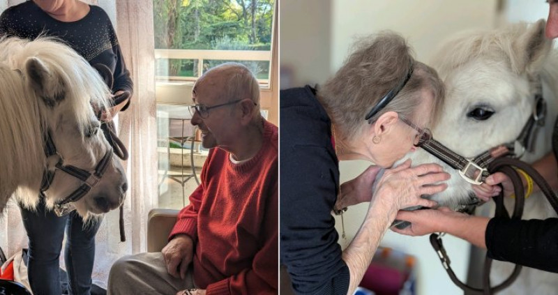 actualité EHPAD SEDNA