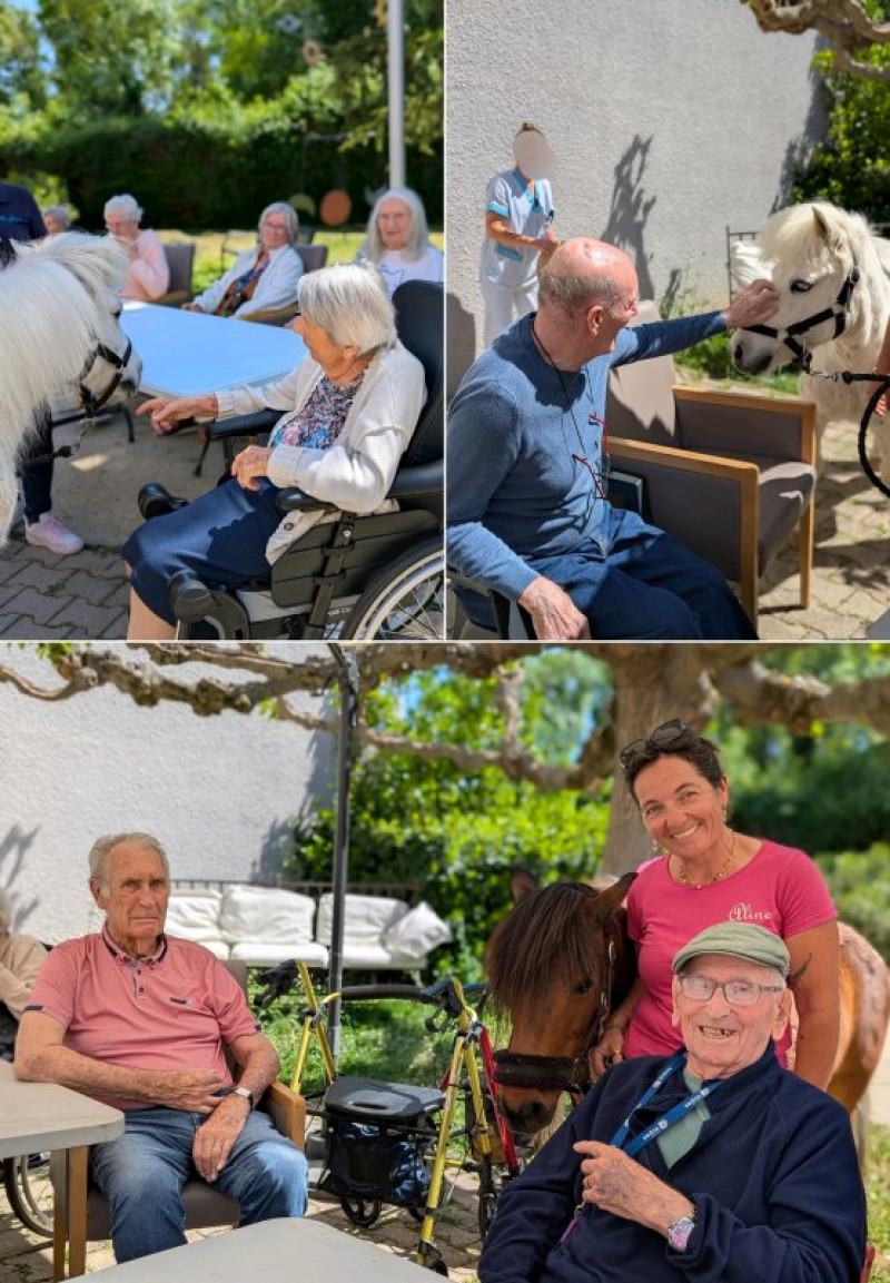 vendredi 24 avril : Equestri'elles