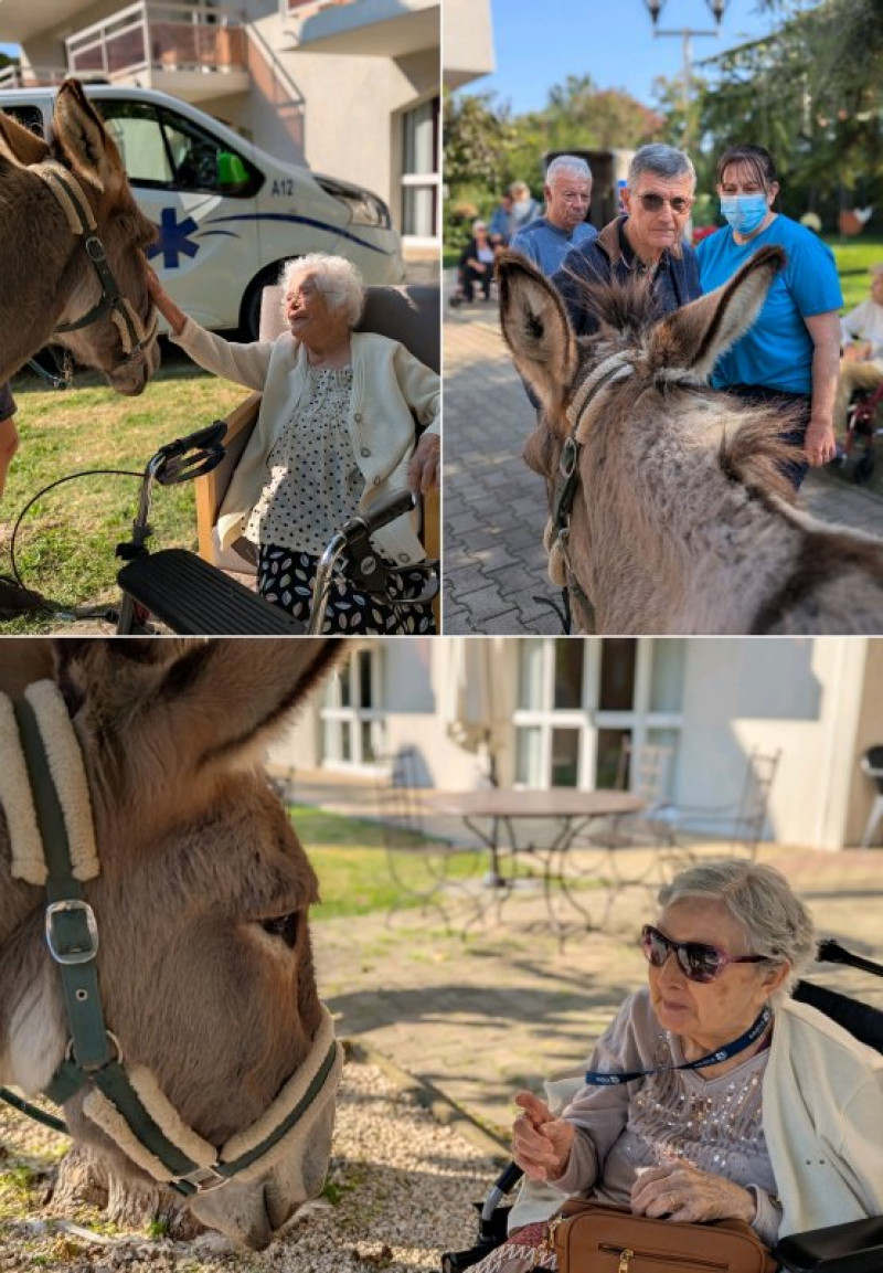 Lap'anerie est à la Deymarde