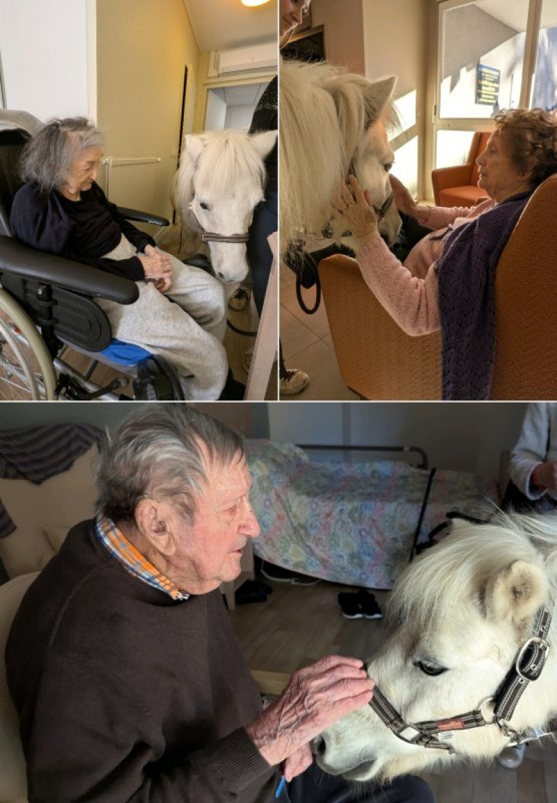 Equestri'elle's à la Deymarde