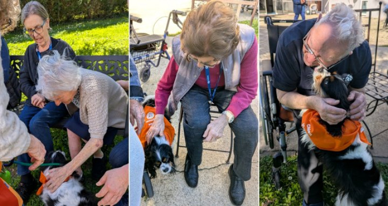 mardi 17 mars : les chiens visiteurs