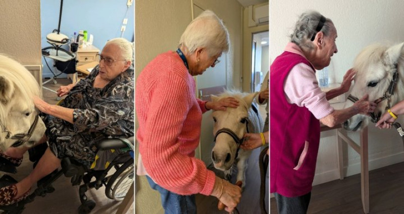 Equestri'elle's à la Deymarde