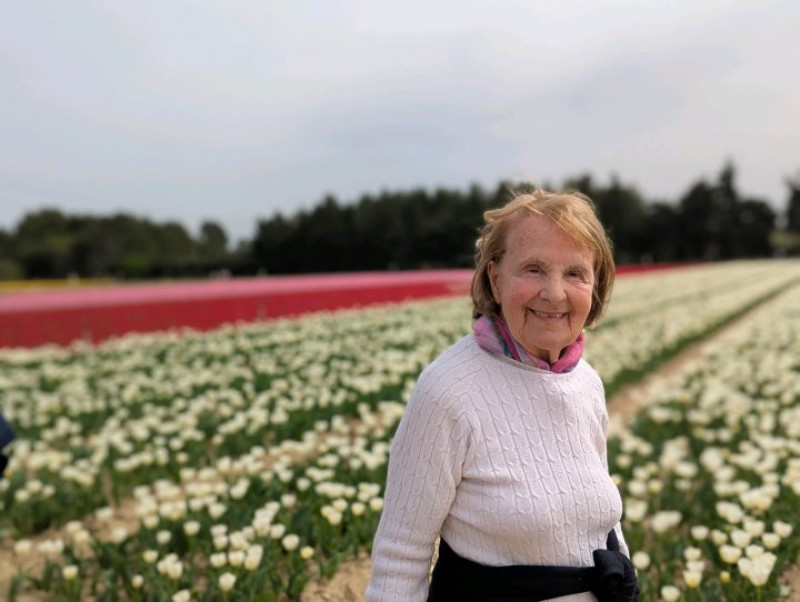 Les tulipes en plein floraison pour le plus grand plaisir de nos résidents