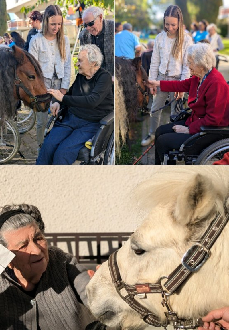 mardi 4 novembre avec Equestri'elle's