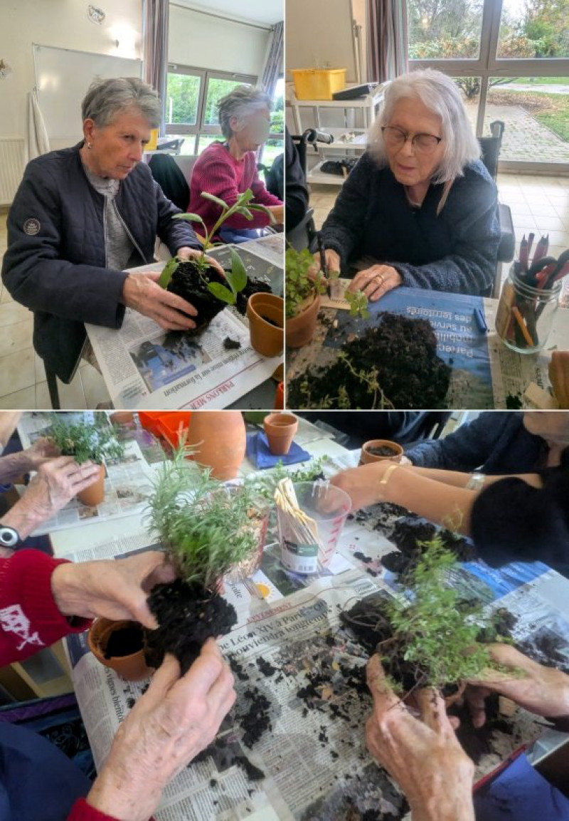atelier jardinage du mardi 20 octobre
