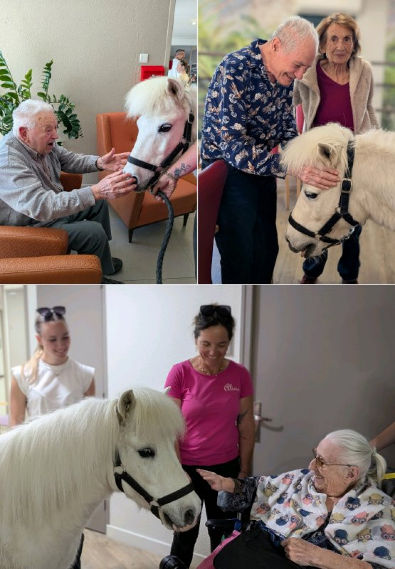 Visite d'Equestri'elles (avril)