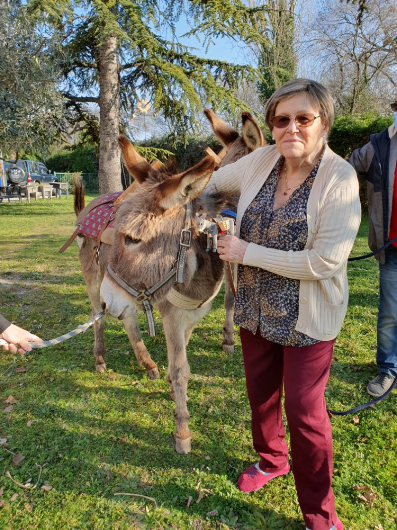 Visite des Anes de Lap'Anerie