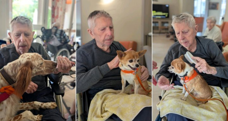 25 septembre : les chiens visiteurs