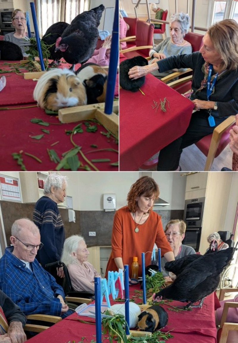résidence médicalisée SEDNA France