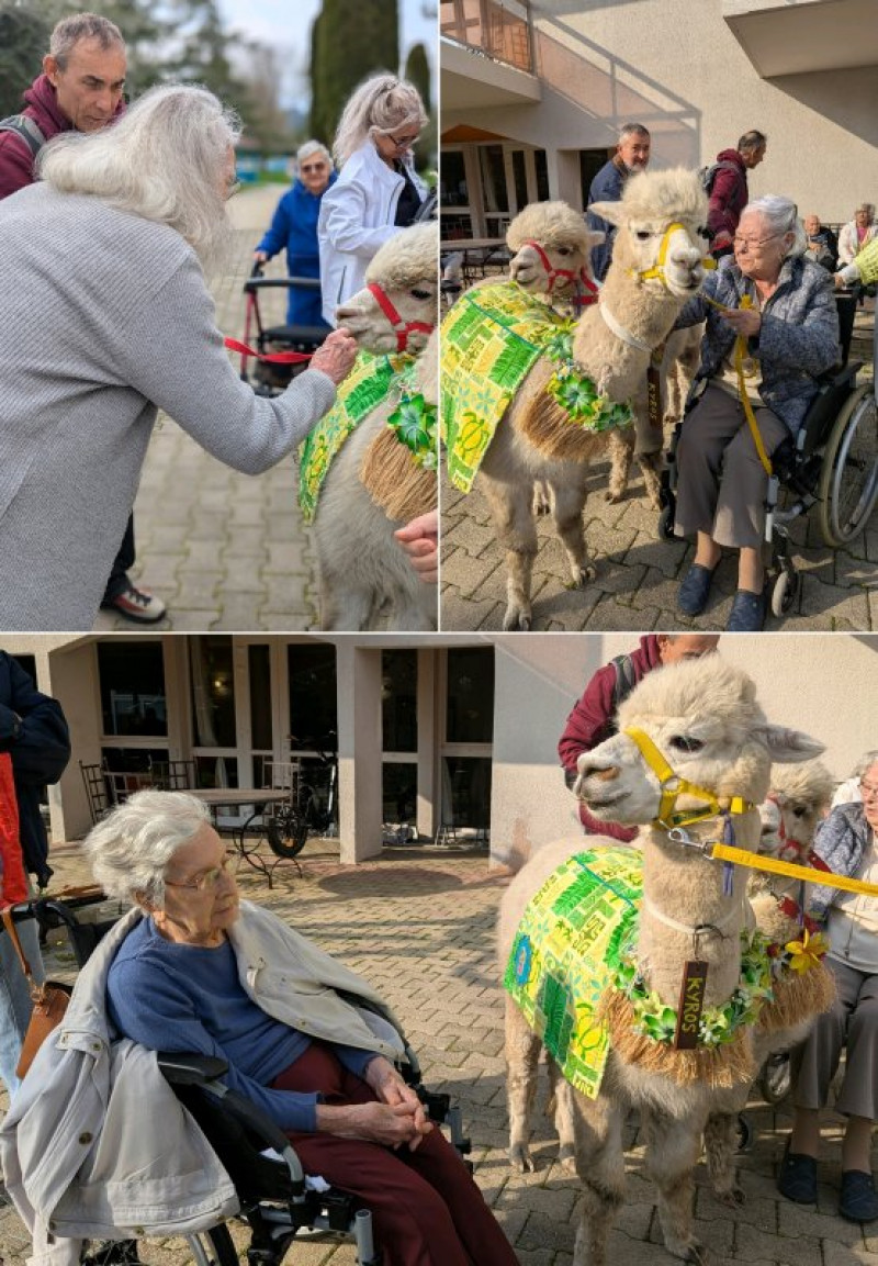 actualité EHPAD SEDNA