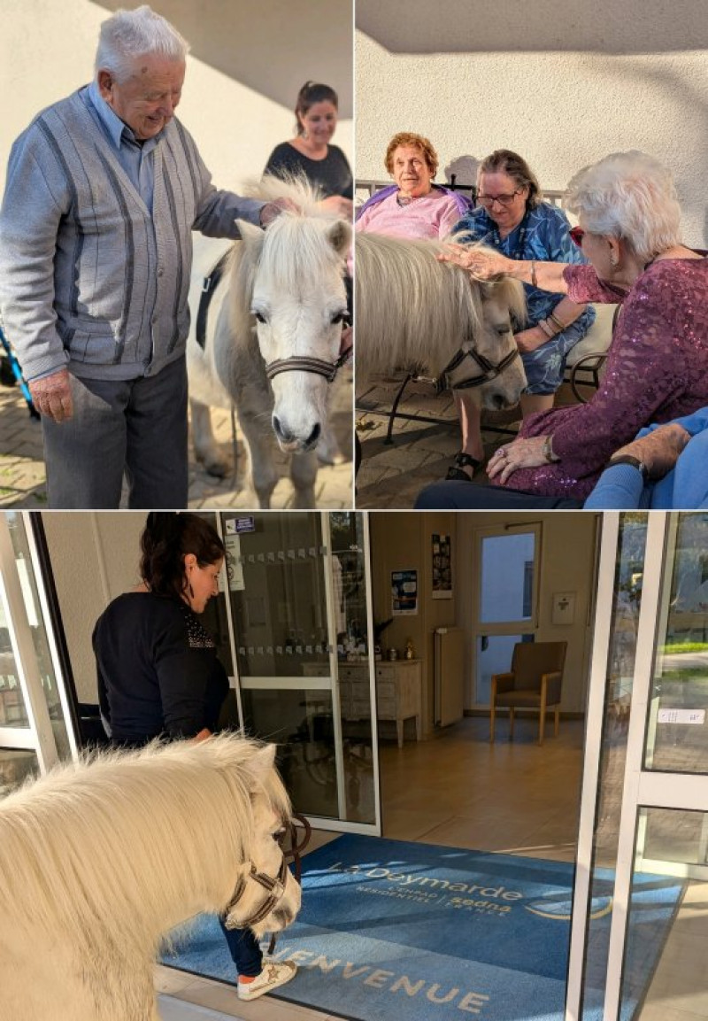 actualité EHPAD SEDNA