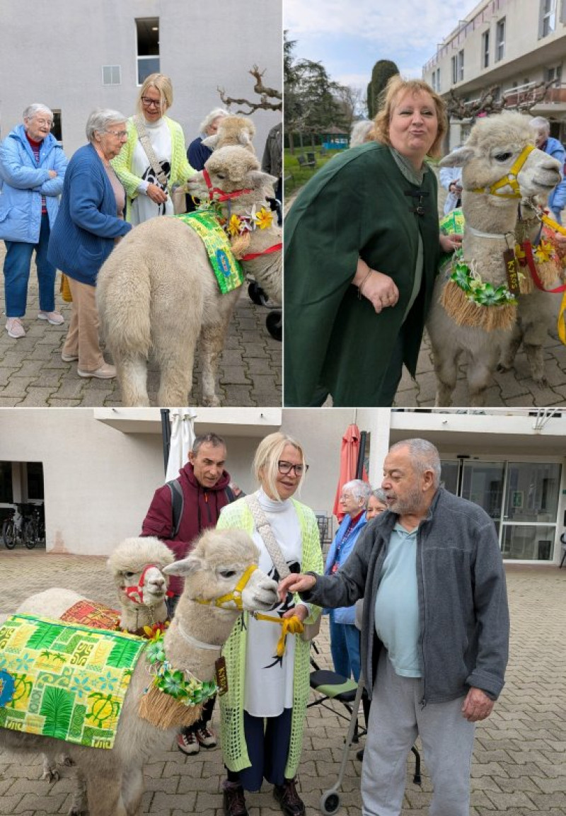 vendredi 27 février : visite des Alpagas