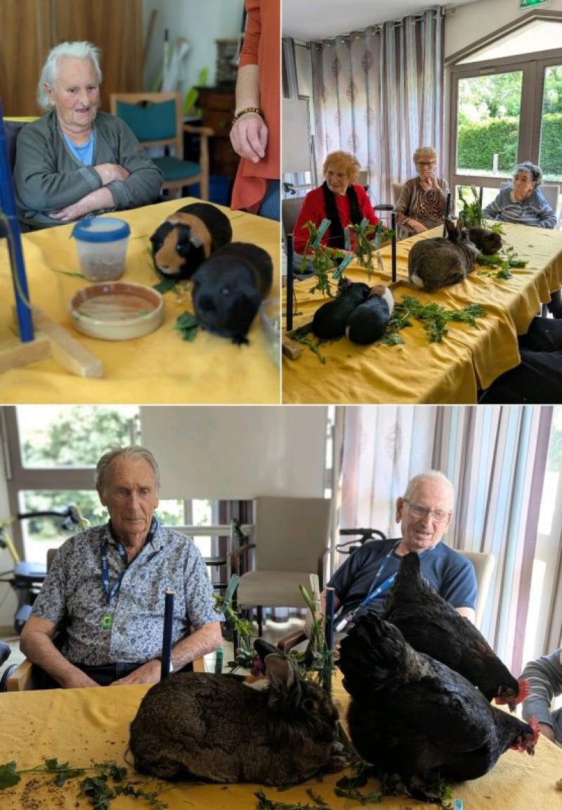 Médiation animale d'avril