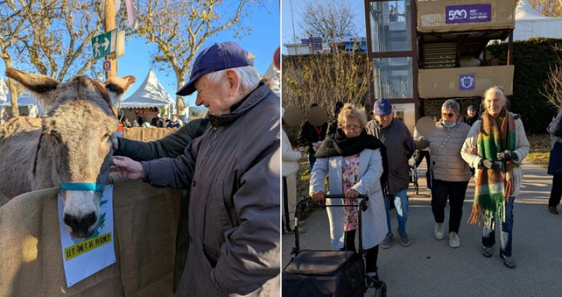 Sortie à la saint Siffrein de Carpentras