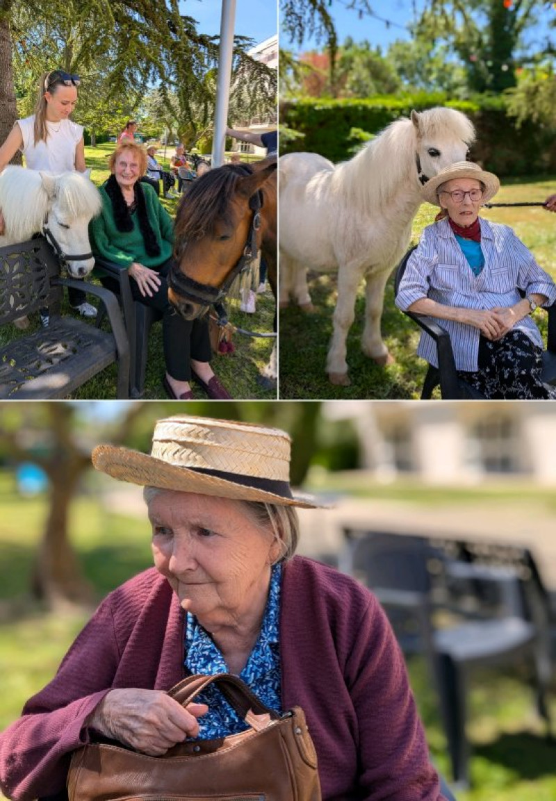 vendredi 24 avril : Equestri'elles