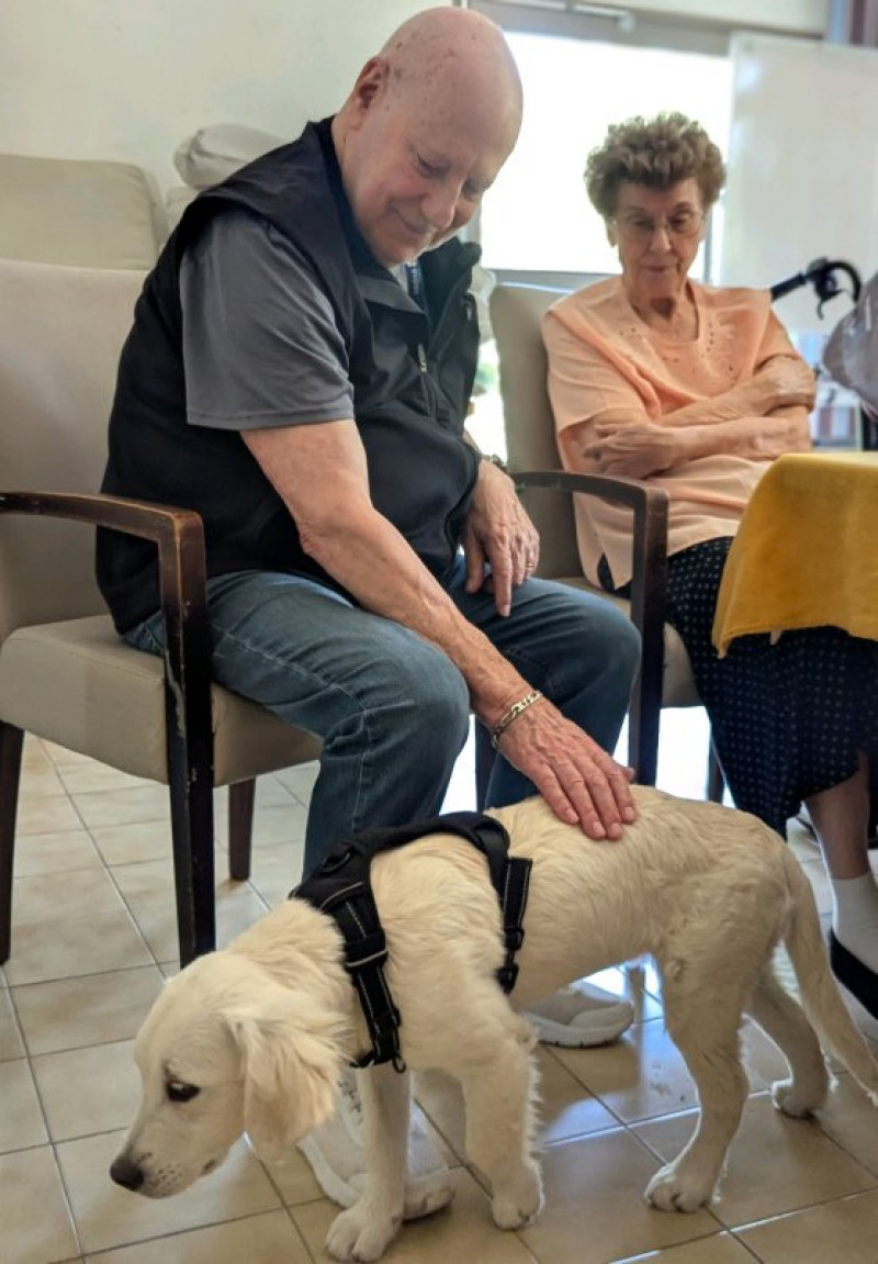 Abby le bébé chien de Christelle