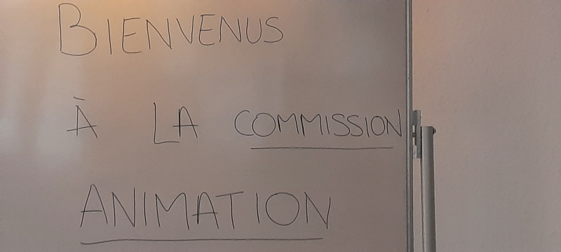 COMMISSION ANIMATION