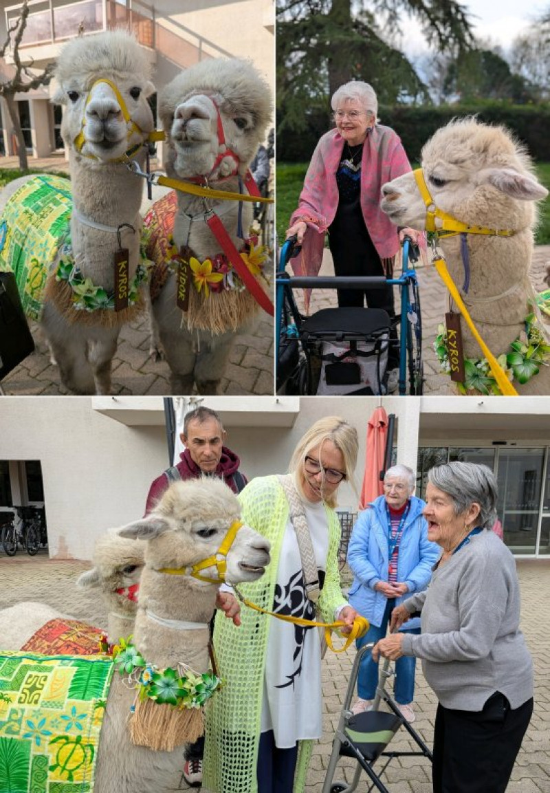 actualité EHPAD SEDNA