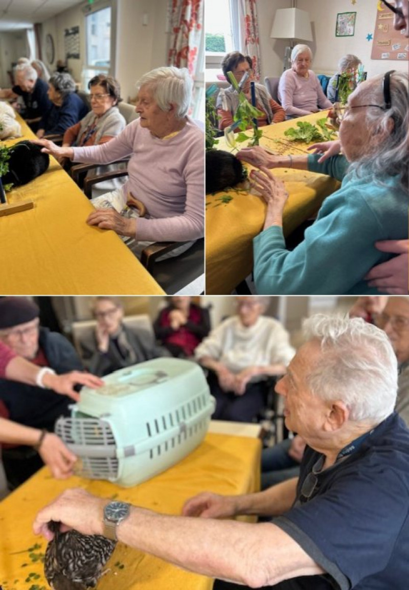 résidence médicalisée SEDNA France