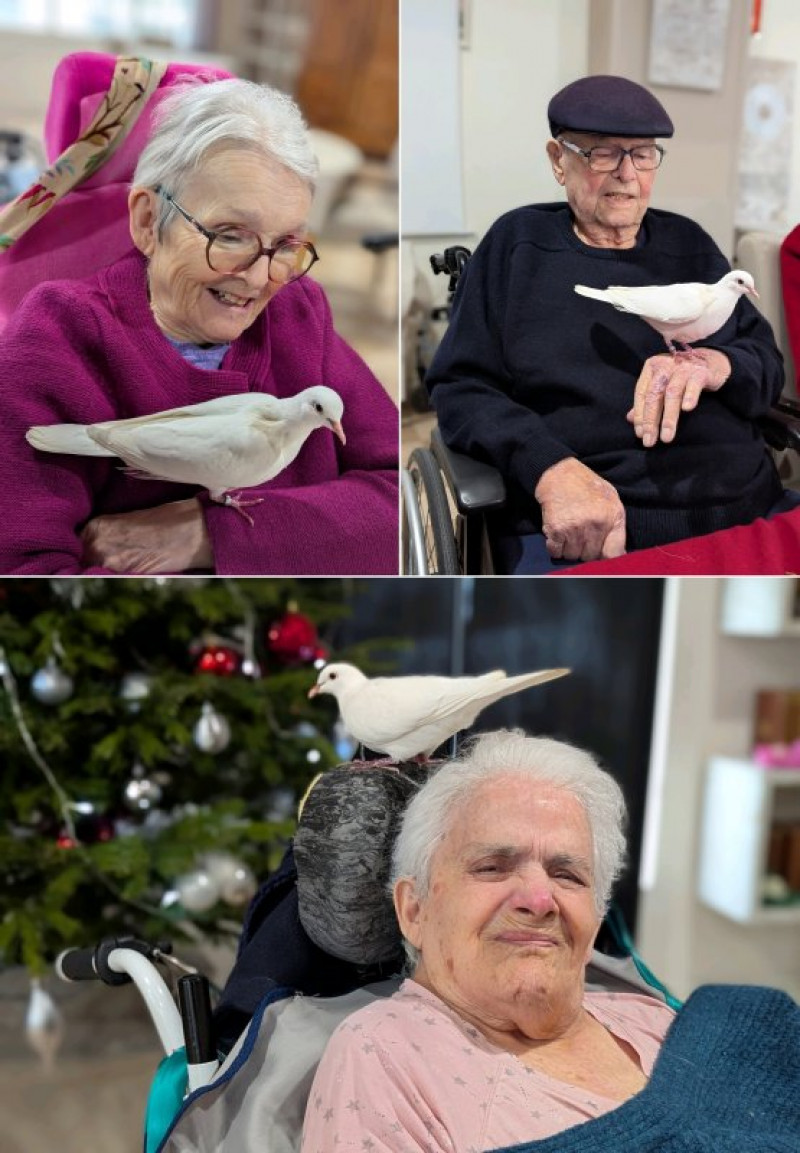 actualité EHPAD SEDNA