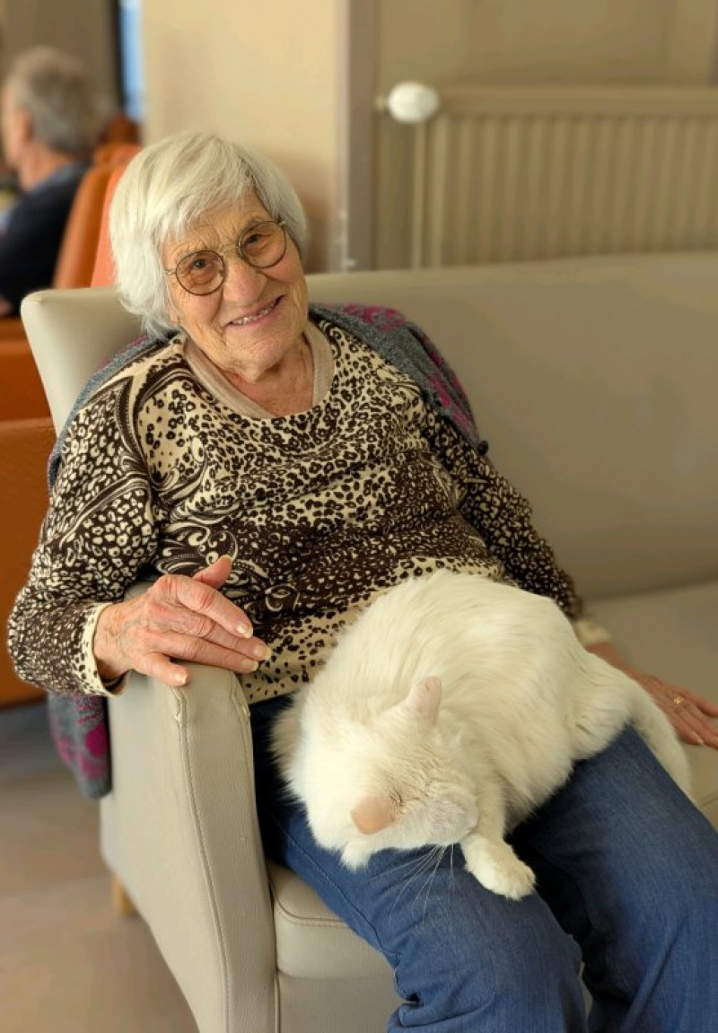 Abby le bébé chien de Christelle