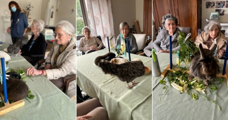 Mardi 20 janvier : Médiation animale avec Christelle