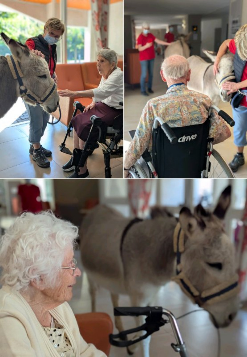mardi 14 octobre avec Lap'anerie